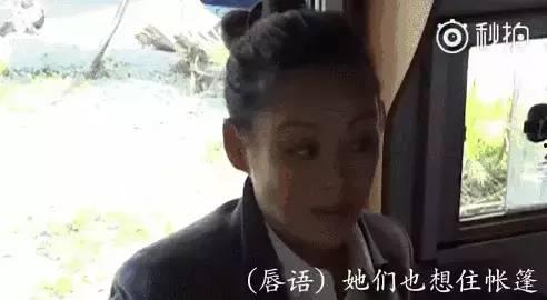 娱乐吃瓜信佛是真的吗,娱乐吃瓜信佛现象，真相究竟如何？