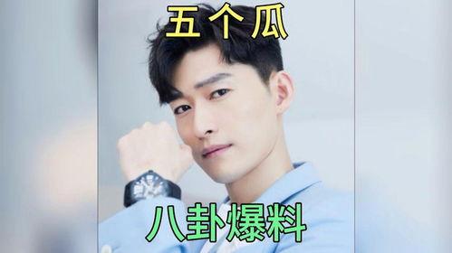 八卦吃瓜博主娱乐圈小说